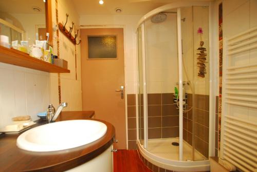 un baño con lavabo y ducha en Saint-Malo Apartment, en Saint-Malo