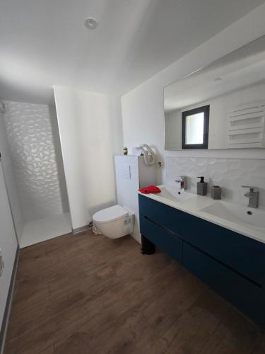 ein Badezimmer mit Waschbecken und Toilette in der Unterkunft Chicken Fields Good ! in Auch