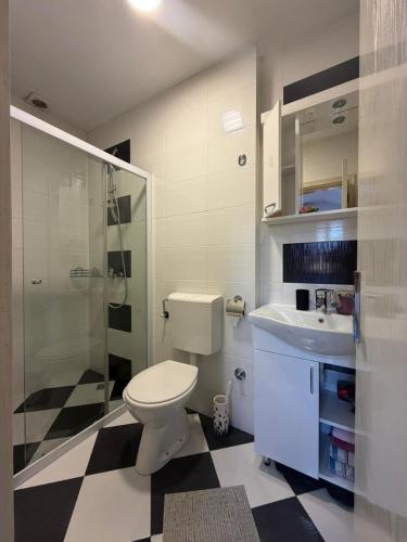 a bathroom with a toilet and a sink and a shower at Apartmani Tamara in Tivat