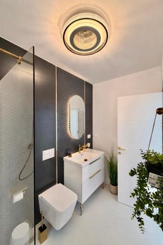 a bathroom with a toilet and a sink and a mirror at Panoramic House Baile Felix C2 in Baile Felix