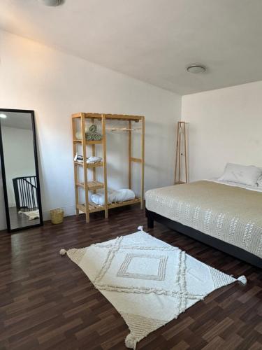 a bedroom with a bed and a mirror and a rug at Minimalist loft 3 blocks from the Zócalo in Oaxaca City
