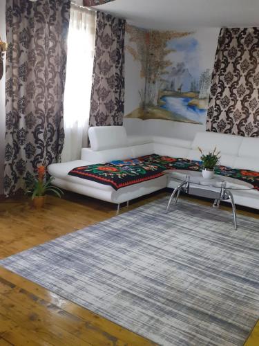 a living room with a white couch and a rug at Cabana Duma la munte cu ciubar in Dealu Negru