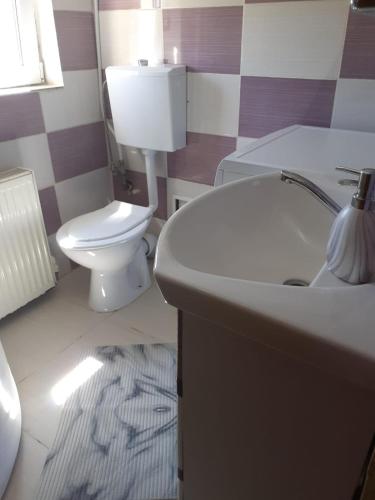 a bathroom with a white toilet and a sink at Cabana Duma la munte cu ciubar in Dealu Negru
