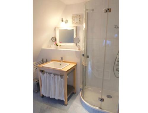 a bathroom with a sink and a shower at Alte Boddenkate in Born