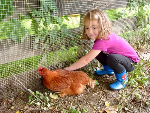a little girl petting a chicken in a cage at Pension Grafengut in Radstadt