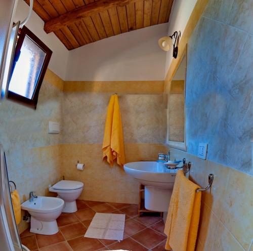 bagno con lavandino, servizi igienici e specchio di Li Teggi Turismo Rurale a San Teodoro