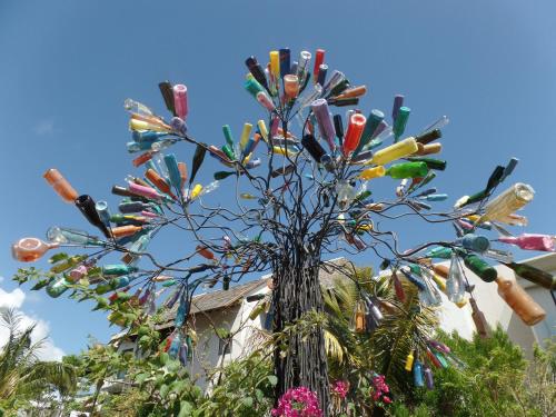 a tree filled with lots of different colored shoes at Swiss Nest Travel in Roches Noires