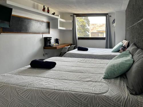 a room with two beds with pillows and a window at Hospedajes Alta Terra in Quetzaltenango