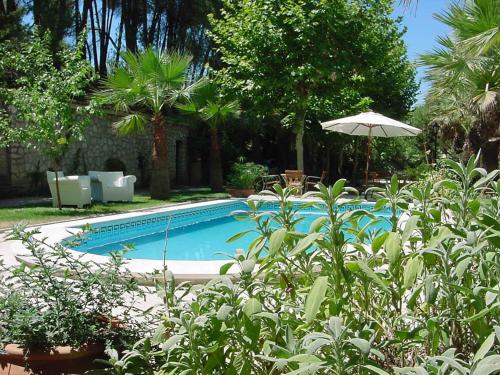 a swimming pool with an umbrella and some plants at Hotel L'Estació in Bocairent