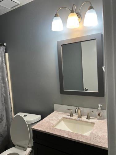 a bathroom with a sink and a mirror and a toilet at Sweet spot Stone Mountain in Stone Mountain