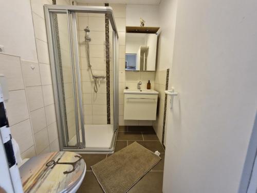 a bathroom with a shower and a sink at Die lütte Kajüte Südstrand in Fehmarn