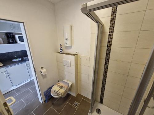 a bathroom with a shower and a toilet at Die lütte Kajüte Südstrand in Fehmarn