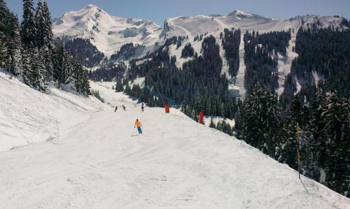un groupe de personnes skier sur une montagne enneigée dans l'établissement Apartment La Chapelle d'Abondance, à La Chapelle-dʼAbondance