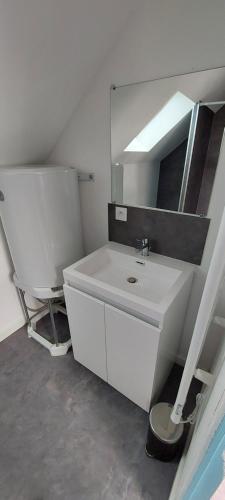 a white bathroom with a sink and a mirror at Studio avec vu sur le Loir in La Flèche