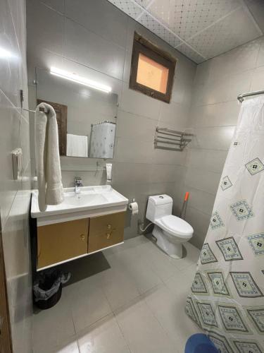 a bathroom with a sink and a toilet at Diwan-e-Hunza Resort in Gulmit