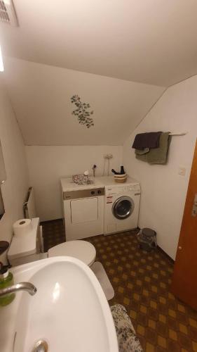 ein kleines Badezimmer mit Toilette und Waschbecken in der Unterkunft BnB Ilfis Wohnung Nr 1 in Langnau im Emmental