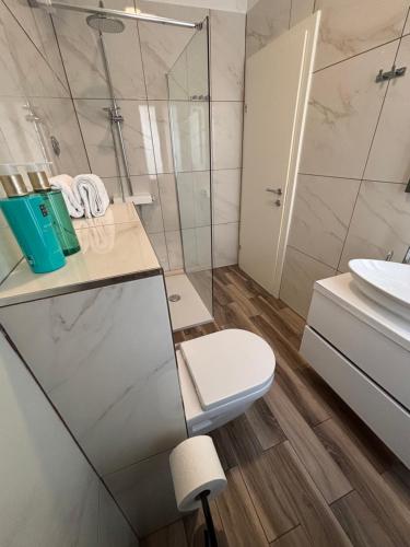 a bathroom with a shower and a toilet and a sink at Studio Apartman Fictilis in Split