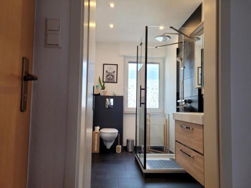a bathroom with a toilet and a glass shower at Ferienwohnung Amano in Fischbach