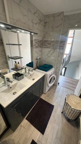 a bathroom with a sink and a mirror and a toilet at Appartement proche aéroport in Blotzheim