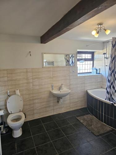 a bathroom with a toilet and a sink and a tub at Bethel Cottage in Oulton