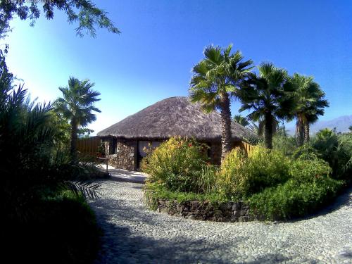 a building with a straw roof with palm trees at Casa De France in Porto Novo