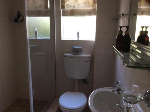 a bathroom with a toilet and a sink at On Broadwalk Cottage in Cape Town