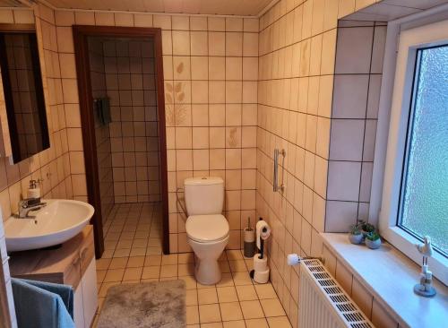 a bathroom with a toilet and a sink at Ferienwohnung Sonnenschein in Tülau