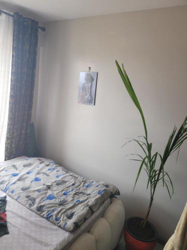 a bedroom with a bed and a potted plant at Royal suburbs tsavo in Nairobi