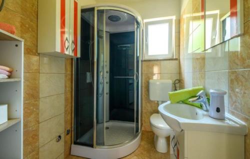a bathroom with a shower and a toilet and a sink at Villa Paola Vinez in Labin