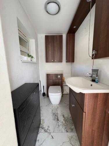 a bathroom with a white toilet and a sink at Mountain Ash Cottage in Mountain Ash