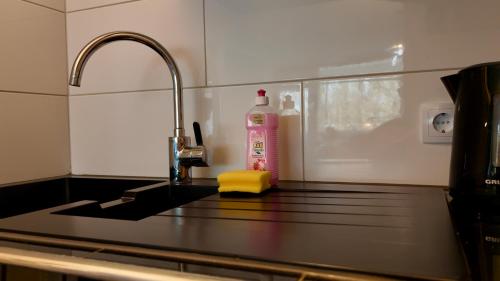 a kitchen with a sink and a bottle of soap at Strandgrün Moderne Ostsee-FeWo am Hansa-Park in Sierksdorf