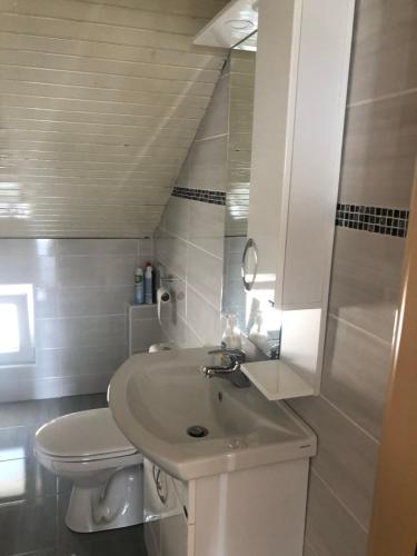 a bathroom with a sink and a toilet at Viola Apartmans Lux in Šušanj