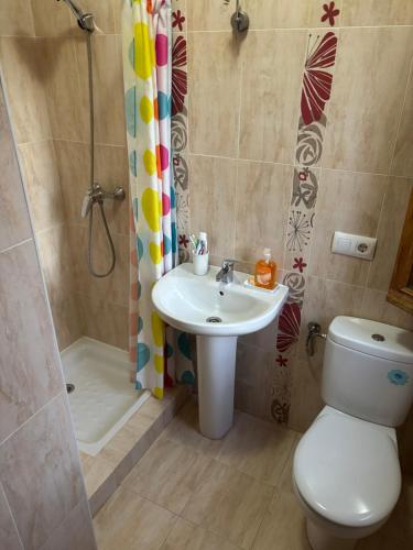 a bathroom with a toilet and a sink and a shower at Villa Canario in Arboleas