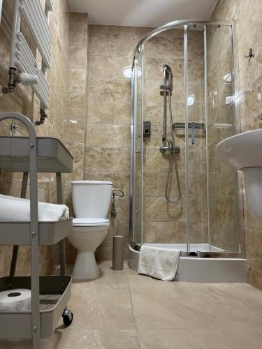 a bathroom with a shower and a toilet and a sink at Kamienica przy Bramie in Opatów