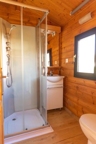 a bathroom with a shower and a toilet at Camping Cantabria in Polientes