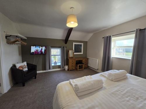 a bedroom with a bed and a tv and a chair at Newgale Lodge in Newgale