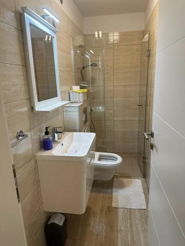 a bathroom with a toilet and a sink and a shower at Apartments A&A in Bibinje