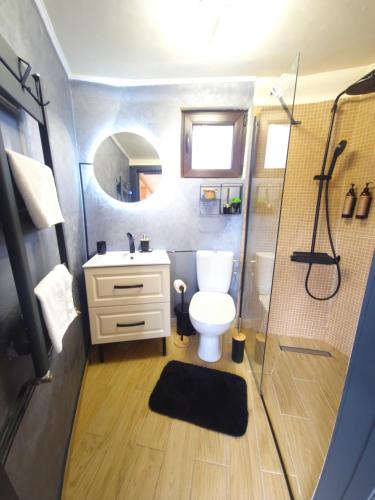 a small bathroom with a toilet and a shower at Dom Vladeasa in Rogojel