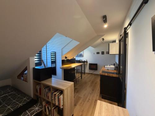 Virtuvė arba virtuvėlė apgyvendinimo įstaigoje studio moderne