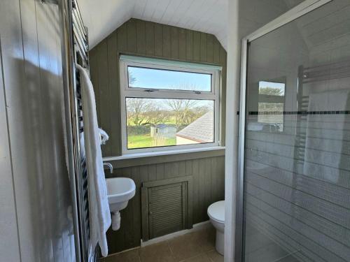a bathroom with a sink and a toilet and a window at Newgale Lodge in Newgale