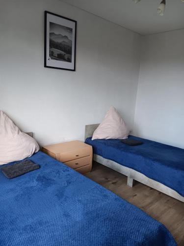 ein Schlafzimmer mit zwei Betten und einem Bild an der Wand in der Unterkunft Charmant 90 E in Lichterfelde