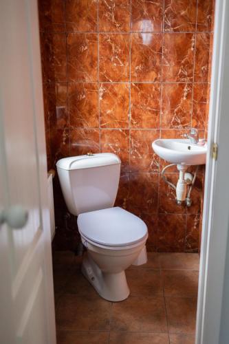 a bathroom with a toilet and a sink at Dorupes House in Liepāja