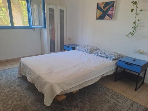 a bedroom with a bed and two blue tables at Amit house in Pardes H̱anna