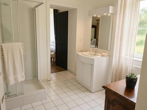 a white bathroom with a sink and a shower at Château de Courcelles in Équevilley