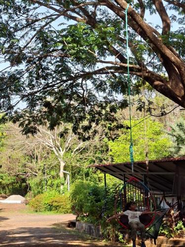 a person sitting in a swing in a tree at APKA ECOvillage in Trichūr