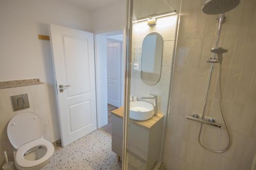 a bathroom with a toilet and a sink and a shower at Le Cabane Retreat in Lereşti