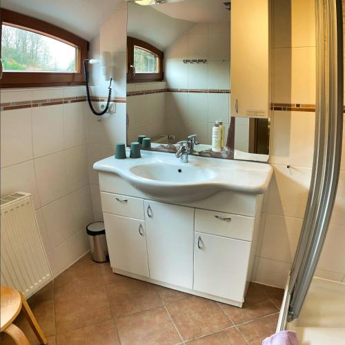 a bathroom with a sink and a mirror at Pension Zum Talwächter im Sandsteinidyll in Rathen