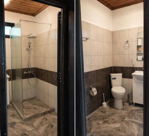 a bathroom with a toilet and a glass shower at Лунен залив in Dospat