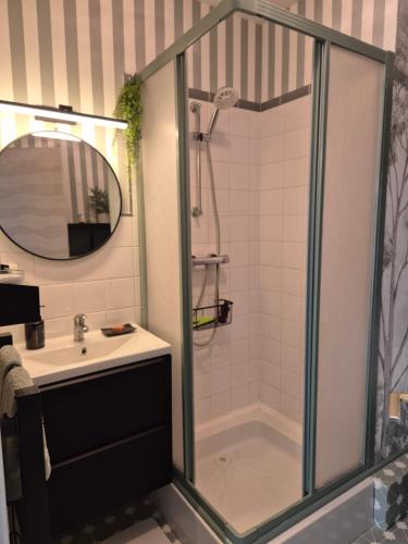 a bathroom with a shower and a sink at Villa Sévigné in Nantes