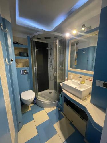 a bathroom with a toilet and a shower and a sink at U Damiana in Gdańsk